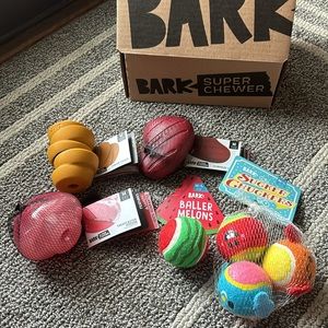 Bark Box- NWT chewer and dispensers, balls (melon ball is unused, no tag,only 1)